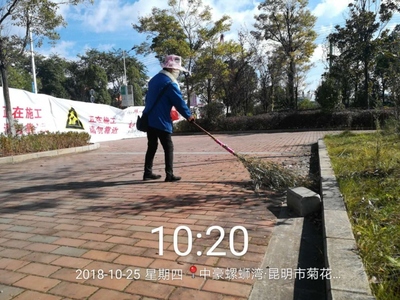 保洁日常——秋风扫落叶